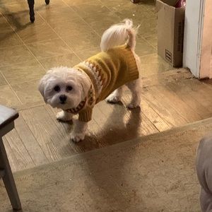 Meet your Posher, Christine